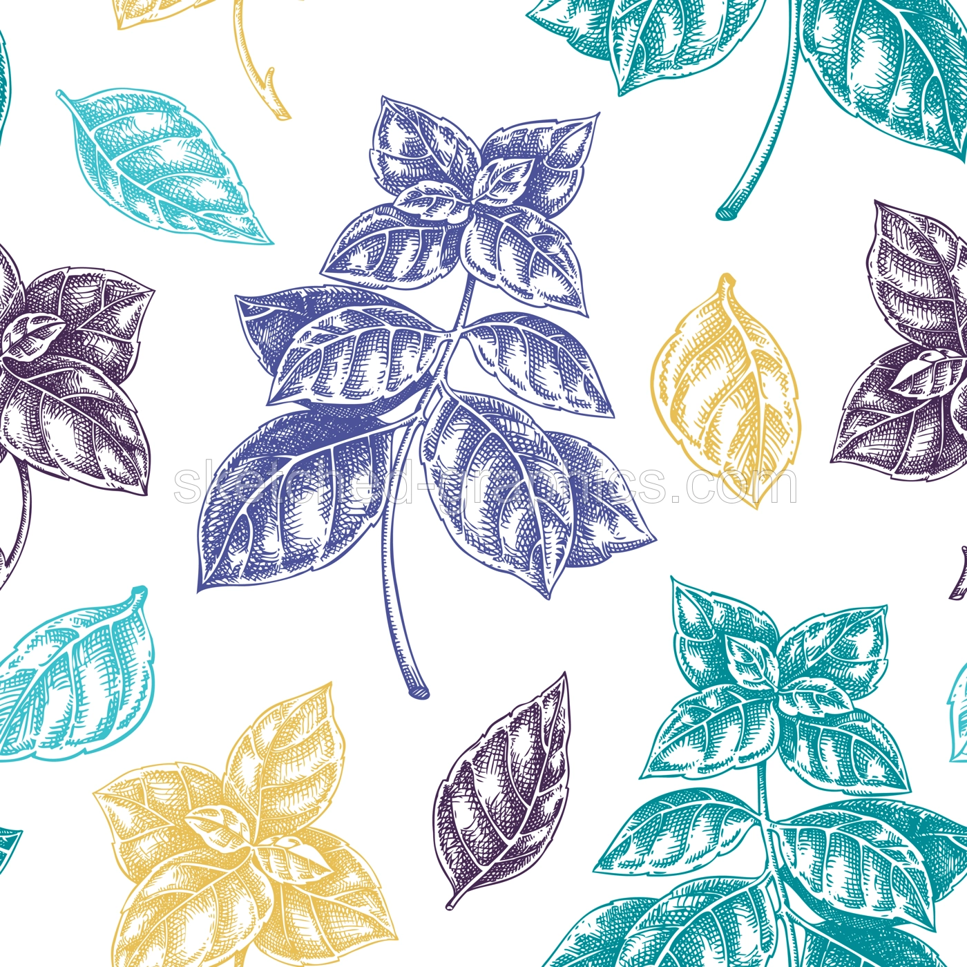 Italian Basil seamless pattern. Kitchen spice sketches. Italian herbs and spices background. Hand-drawn vector illustration. NOT AI generated Illustration